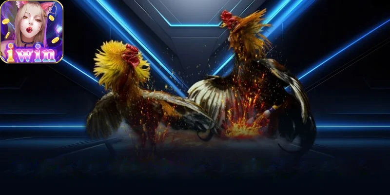 Hình ảnh giao diện đá gà iwin68 trực quan sinh động